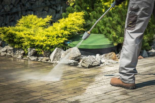 Best Winterizing Services  in Greenfield, IN